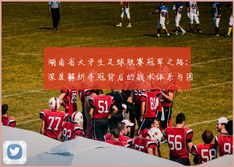 湖南省大学生足球联赛冠军之路：深度解析夺冠背后的战术体系与团队精神