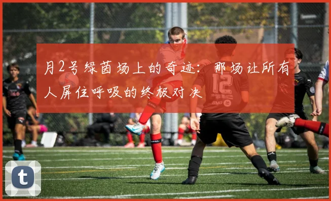 月2号绿茵场上的奇迹：那场让所有人屏住呼吸的终极对决